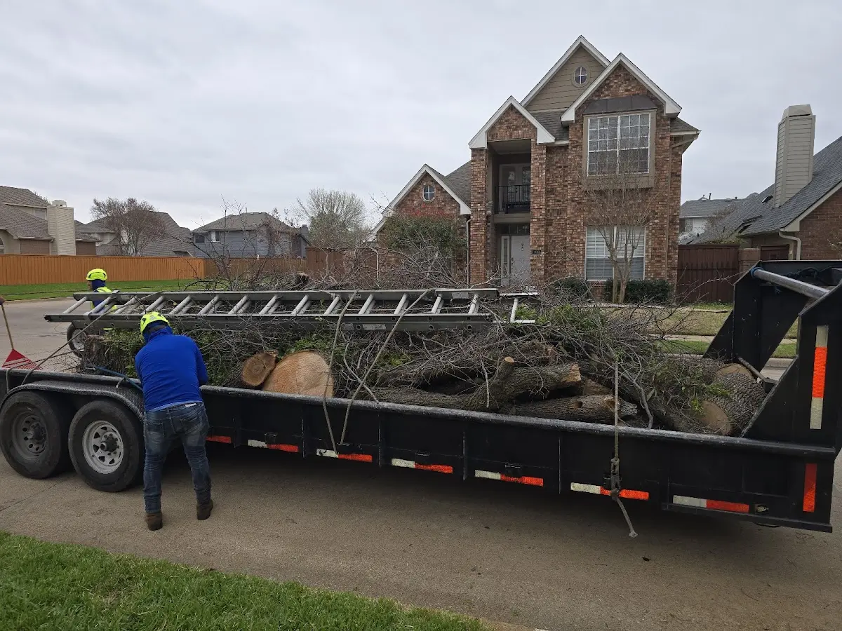 Expert Tree Fertilization with proper safety equipment in Naoma